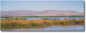 Warner Wetlands