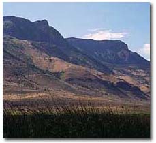 Hart Mountain from Warner Wetlands.